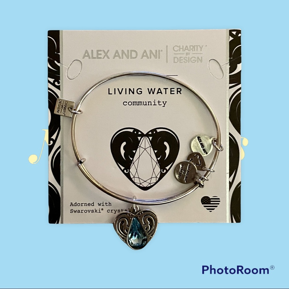 Alex and Ani living water Bracelet in Rafaelin Silver